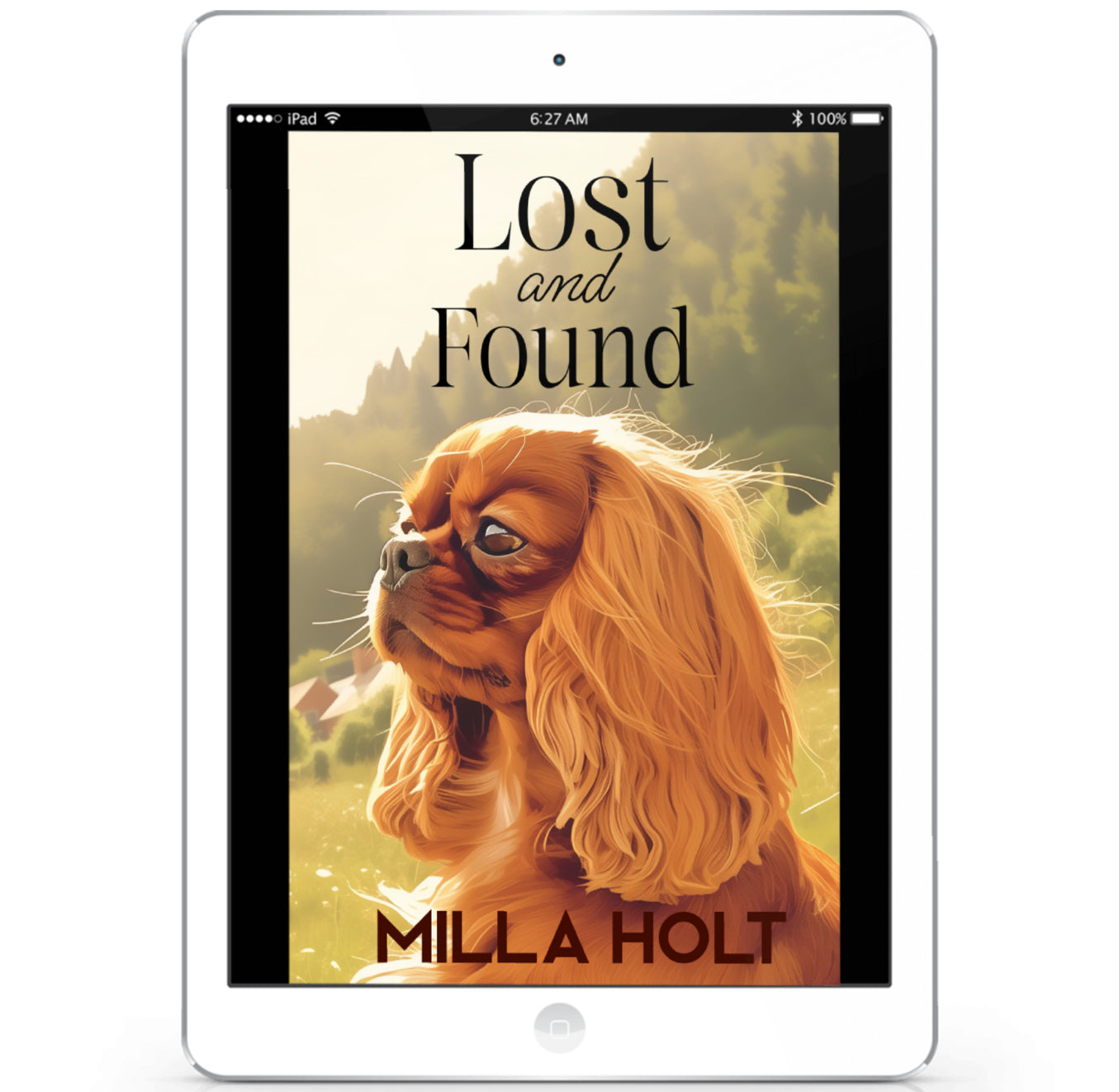 Lost and Found Book Cover